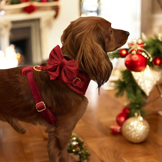 Rich Berry Red Harness Set