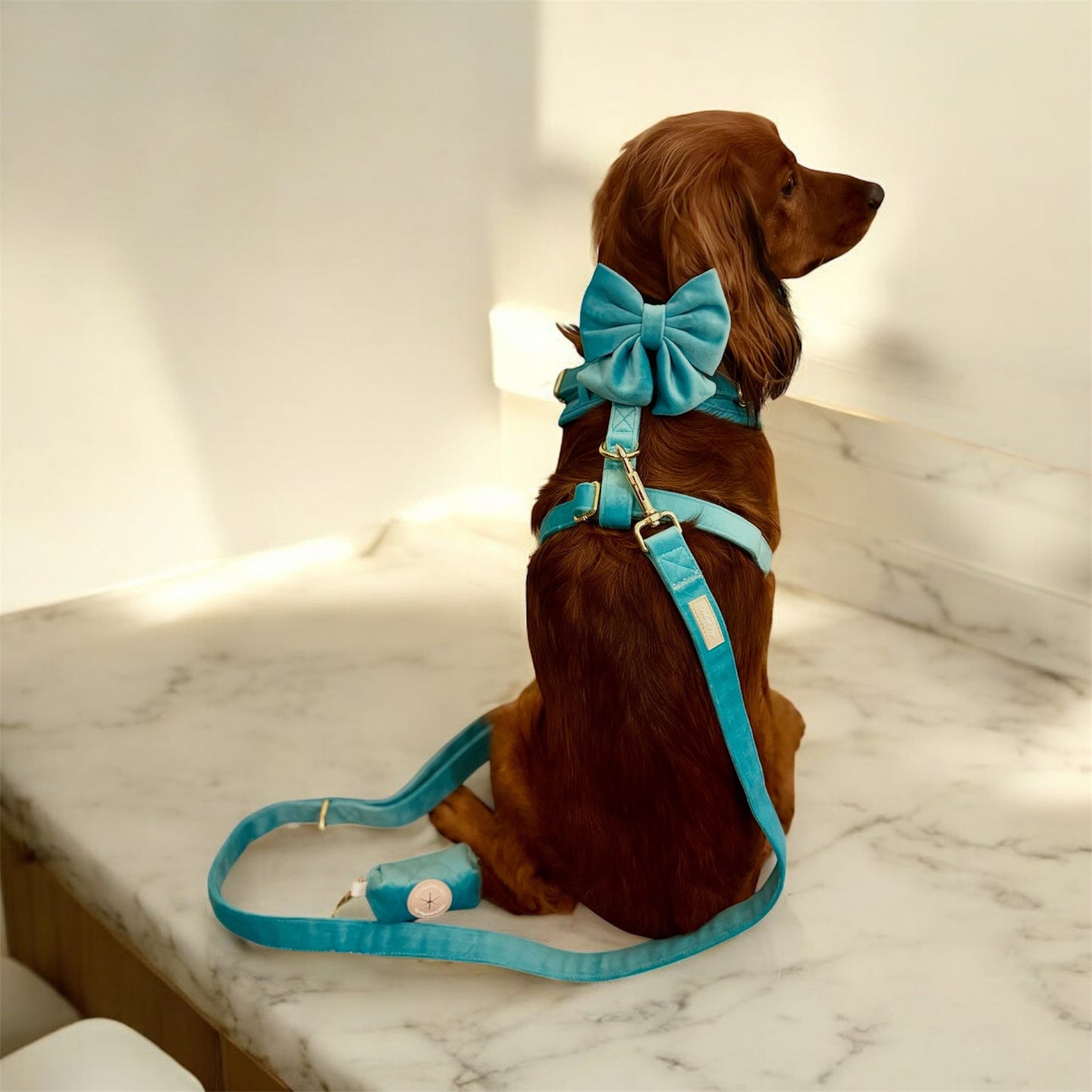 Ocean Mist Harness Set