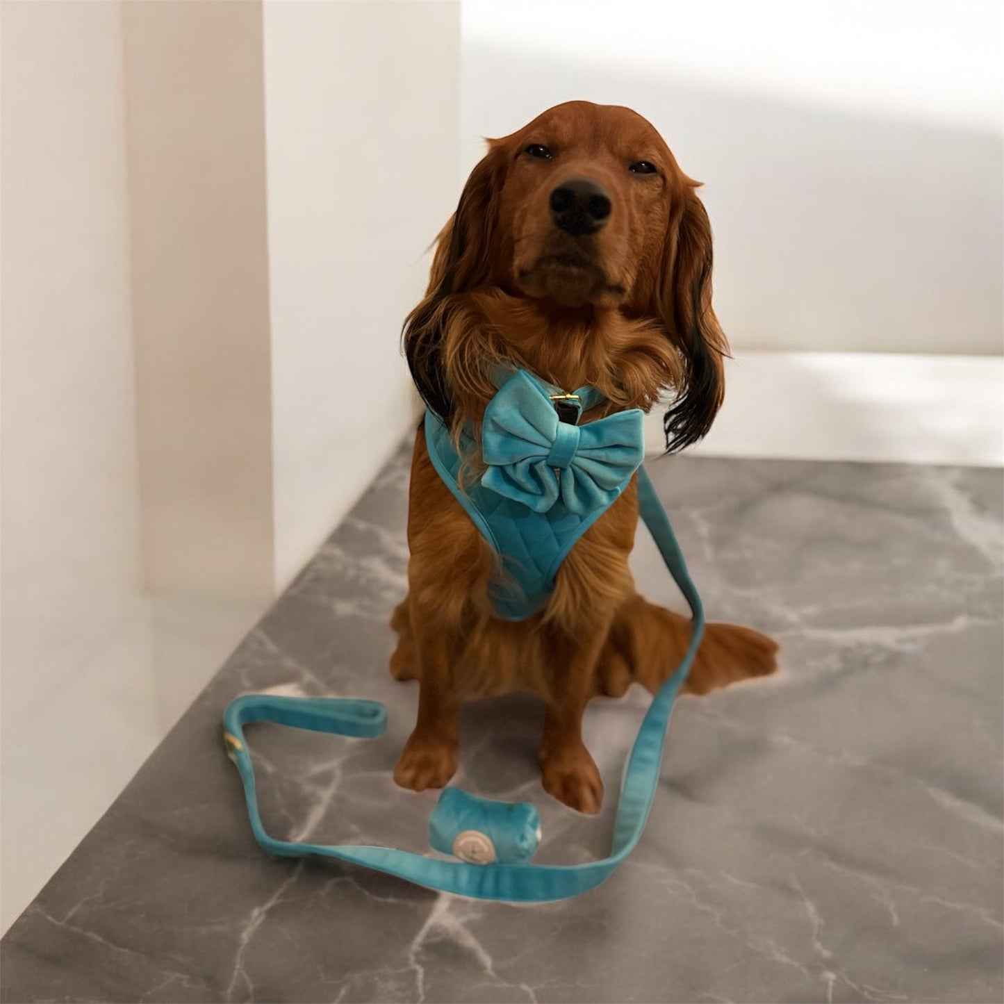 Ocean Mist Harness Set