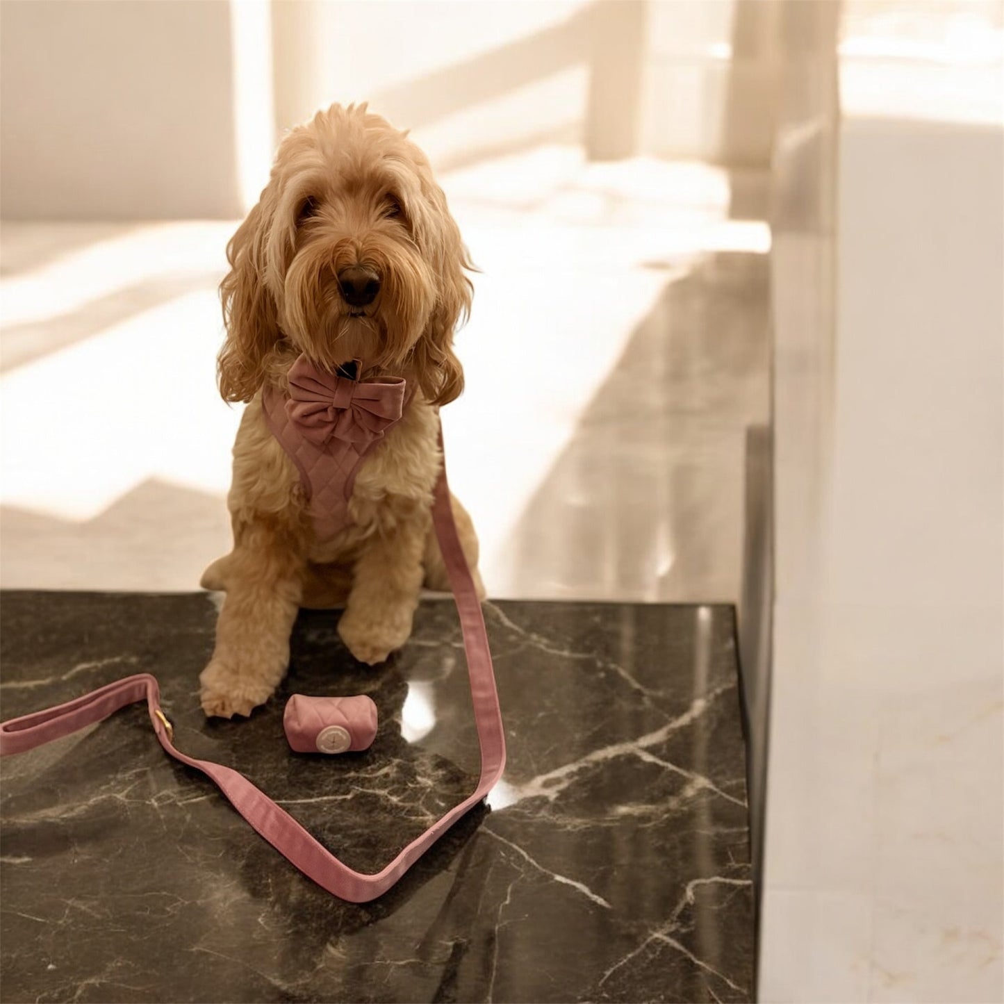 Rosé Dust Harness Set