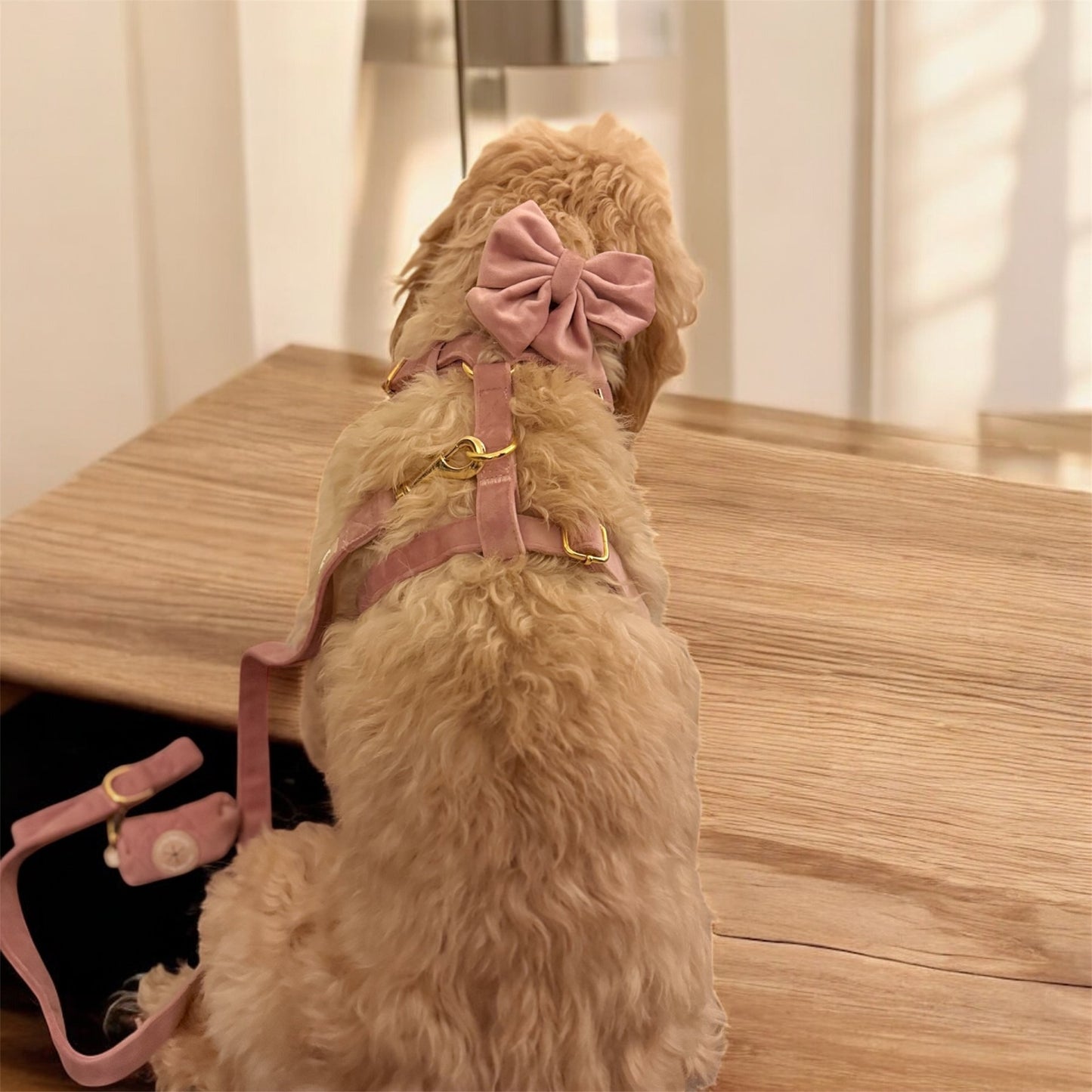 Rosé Dust Harness Set