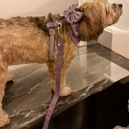 Lilac Blush Harness Set