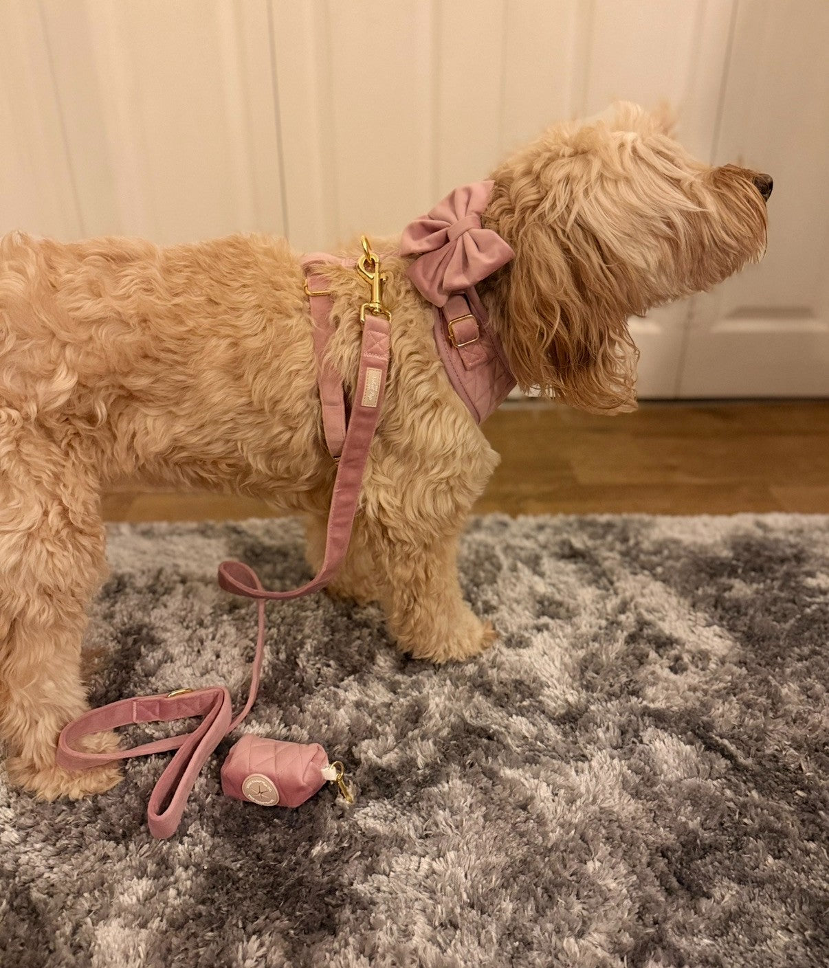 Rosé Dust Harness Set